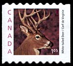 $1.05 Wildlife (15k)