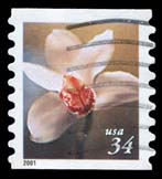 34c Orchid (15k)